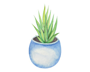 Watercolor Succulent Clipart Set, Beautifully Arranged Hand-drawn Colorful Succulent Plants