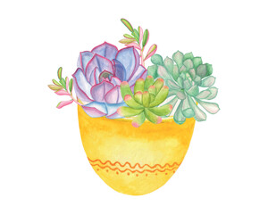 Watercolor Succulent Clipart Set, Beautifully Arranged Hand-drawn Colorful Succulent Plants