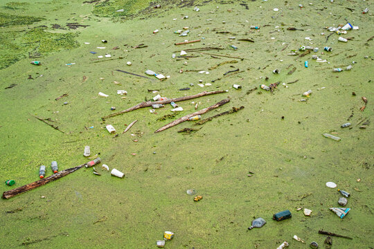 Sweetwater Wetlands Park, filtering Pond with garbage from Gainesville, Florida, USA