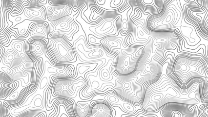 Topographic map. Geographic mountain relief. Abstract white topography vector background. Line topography map design. The concept of conditional geographical pattern and topography.	