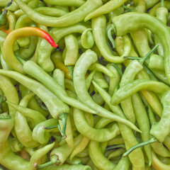 Bright green organic peppers for sale top view close up. A natural, colorful background.