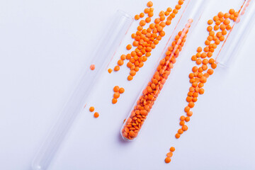 Germination of seeds in the laboratory. Selection and suitability test.