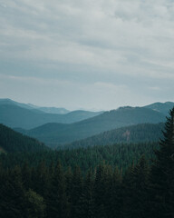 Obraz premium landscape with clouds