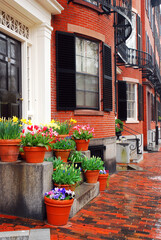 Fototapeta na wymiar Tulips and spring flowers grow on the front steps of the historic homes in Boston's Beacon Hill neighborhood