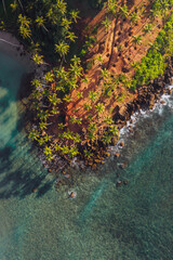 Famous Coconut Tree Hill aerial top view photo with a beautiful Nature's landmark in Mirissa, Matara District on Sri Lanka. Exotic Asian countries and around the World traveling concept.