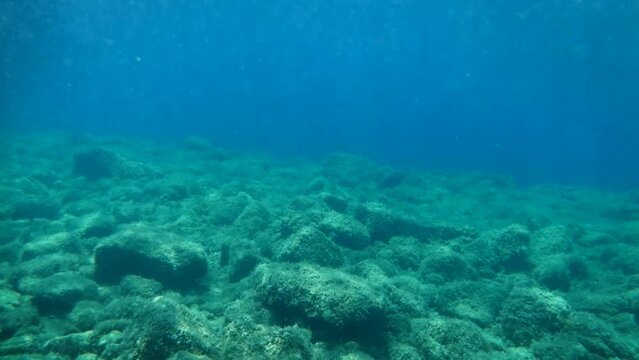 Underwater landscape in the Adriatic Sea near the coastline, rocky sea floor with some fish