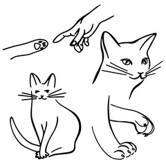 Vector set of doodle elements for home cat theme design.