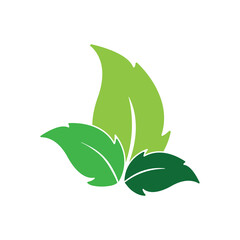 Green leaf icon. Illustration