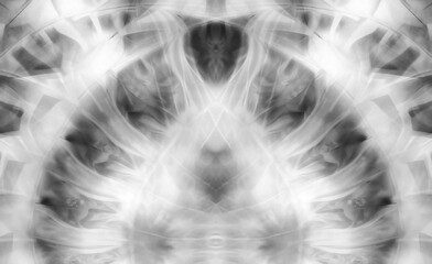 symmetry art black and white abstract x-ray design © kathleenmadeline