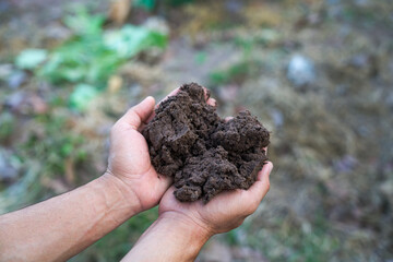 Hand holding soil with nature background.
