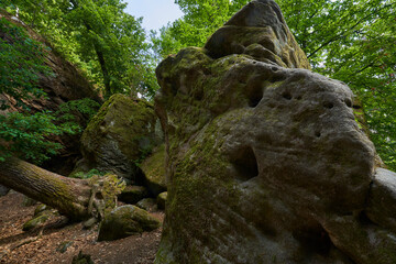  Die Rhät-Sandstein-Felsengruppe Diebskeller bei Altenstein, Naturpark Haßberge, Unterfranken, Bayern, Deutschland