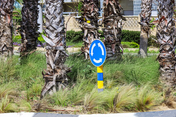 Circular motion sign and palm trees in city