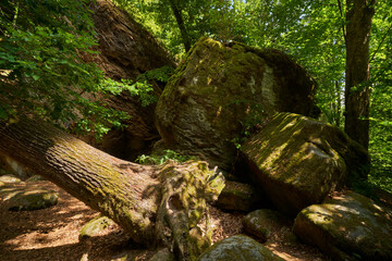  Die Rhät-Sandstein-Felsengruppe Diebskeller bei Altenstein, Naturpark Haßberge, Unterfranken, Bayern, Deutschland