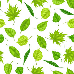 Seamless pattern with spring leaves. Beautiful decorative foliage.