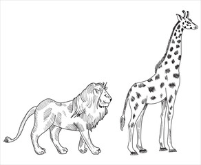 Animals a sketch drawing vector illustration