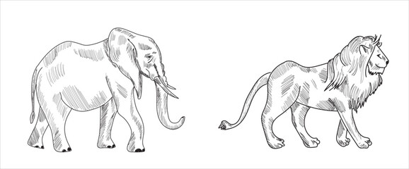 Animals a sketch drawing vector illustration