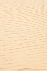 Fototapeta na wymiar Texture of beautiful sand as background, closeup