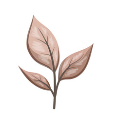 leaf design vector