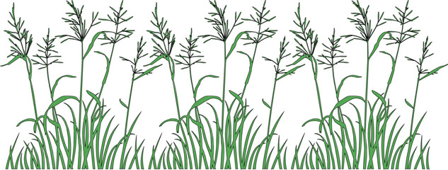 minimalist colored GRASS bush plant illustration vector sketch design
