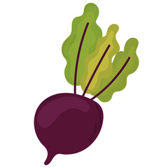 Beetroot vector flat icon. Healthy food.Vegetarian,Vegan food. Hand draw illustration of cartoon vegetable	