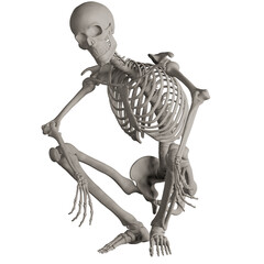 skeleton posing 3d render illustration	