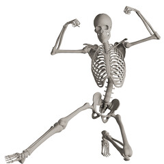skeleton posing 3d render illustration	