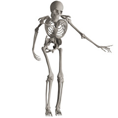 skeleton posing 3d render illustration	