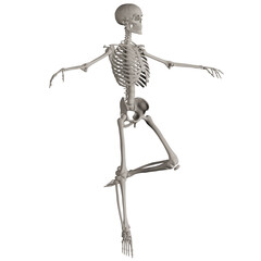 skeleton posing 3d render illustration	