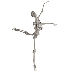 skeleton posing 3d render illustration	