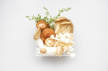 Basket with fresh mushrooms and thyme on light background
