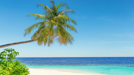 Fototapeta na wymiar A tropical paradise idyllic beach on Sri Lanka's south coast at Mirissa.