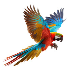 Obraz premium Beautiful macaw parrot flying on white background with clipping path