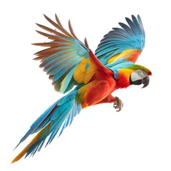 Foto auf Glas Beautiful macaw parrot flying on white background with clipping path © STOCK PHOTO 4 U