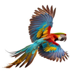 Fotobehang blue and yellow macaw parrot. colorful parrot isolated on white. AI generative © I LOVE PNG