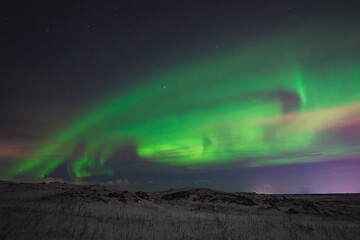 Naklejka premium Aurora in Iceland
