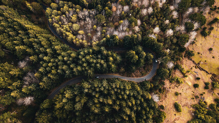 Aerial drone view of a serpent road on a forest top view. Green forest from above.
