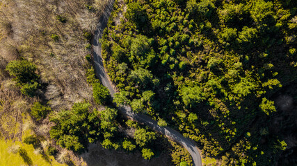 Aerial drone view of a serpent road on a forest top view. Green forest from above.
