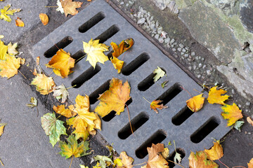 Drainage manhole grate with yellow leaves