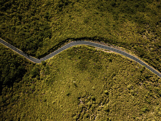 Aerial drone view of a serpent road on a forest top view. Green forest from above.
