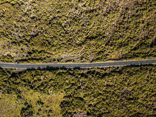 Aerial drone view of a serpent road on a forest top view. Green forest from above.
