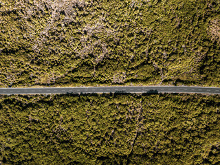 Aerial drone view of a serpent road on a forest top view. Green forest from above.
