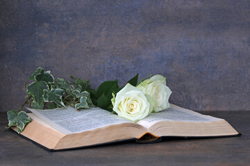Offenes Buch und weisse Rosen mit Platz für Text.