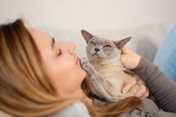 Young woman resting with pet in sofa at home. Beautiful Burmese cat. Animals and lifestyle concept.