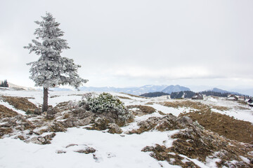 Velika planina mountain 1666 m in Kamnik Savinja Alps in Slovenia, winter hiking in herdsmen’s huts village covered with snow