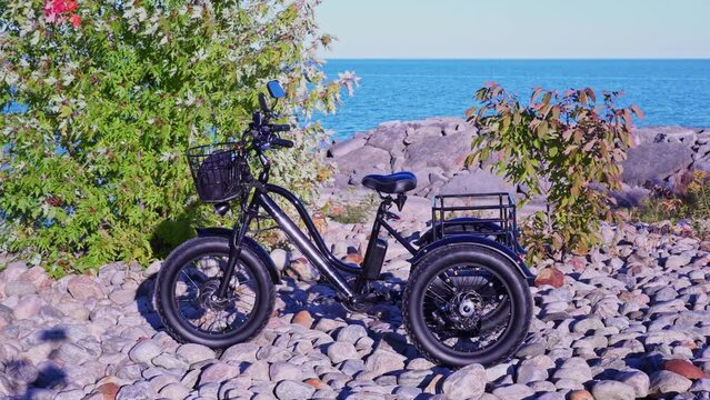 Electric bicycle in the park in sunny summer day near lake. Natural lighting. The view of the bike e motor and power battery.