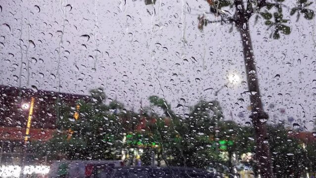 rain drops on the window