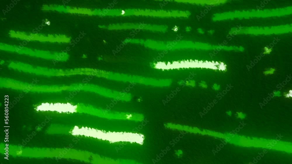 Poster flashing stripes of computer information flow. motion. abstract computer traffic of information tran