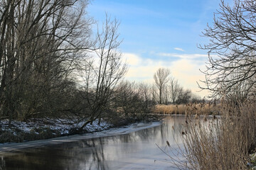 Flemish marsh landscape covered in snow under a blue sky. Bourgoyen, Gehnt, Belgium