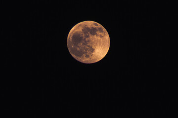 Obraz premium full moon in the night sky