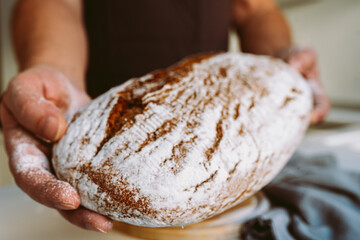 Rye craft homemade bread in muscular textured hands of male baker